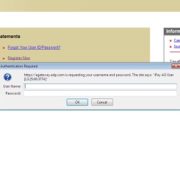 ADP iPay Login